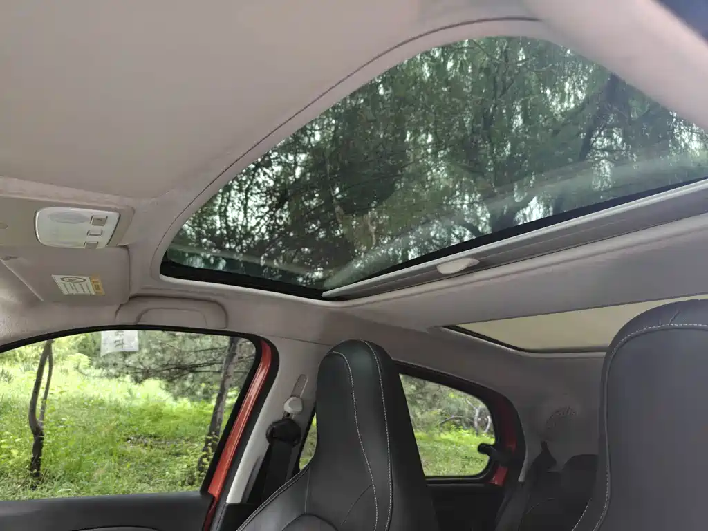 smart Smart Forfour — миниатюра 11