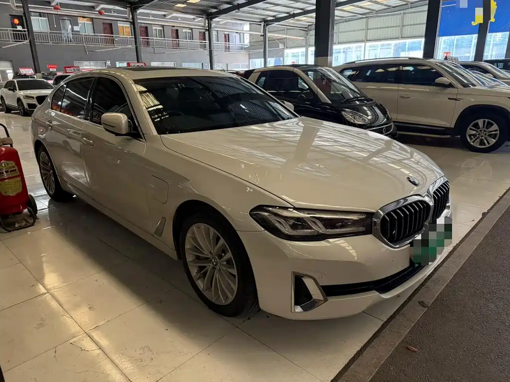 BMW 5 Series New Energy — миниатюра 3