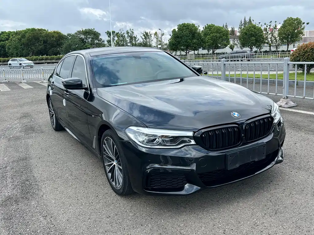 BMW 5 Series — миниатюра 3