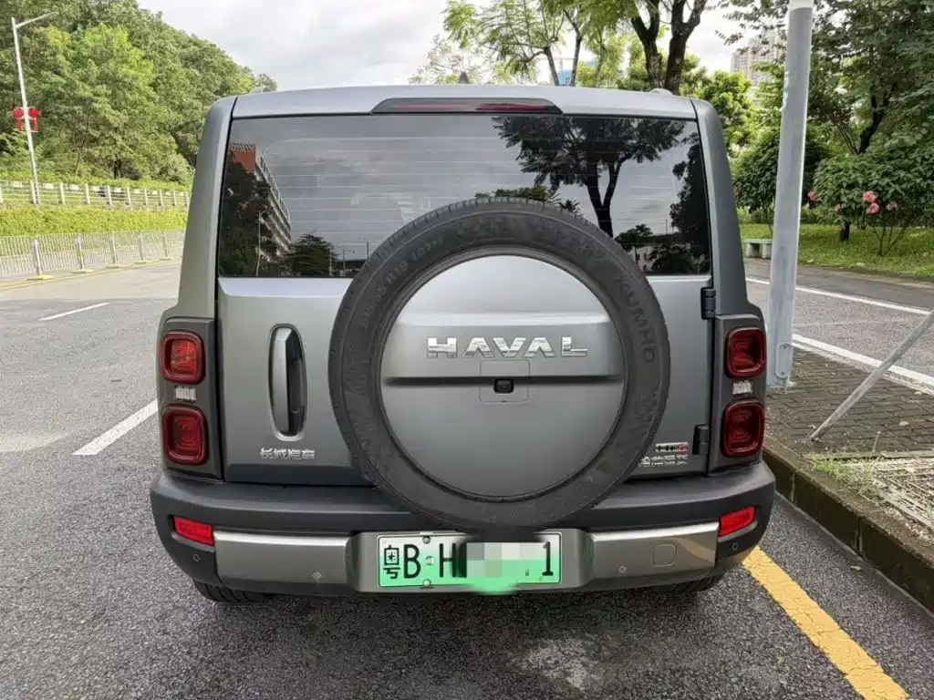 Haval Menglong New Energy — миниатюра 8