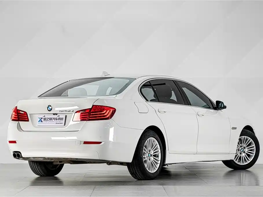 BMW 5 Series 5 2014 525Li Lead