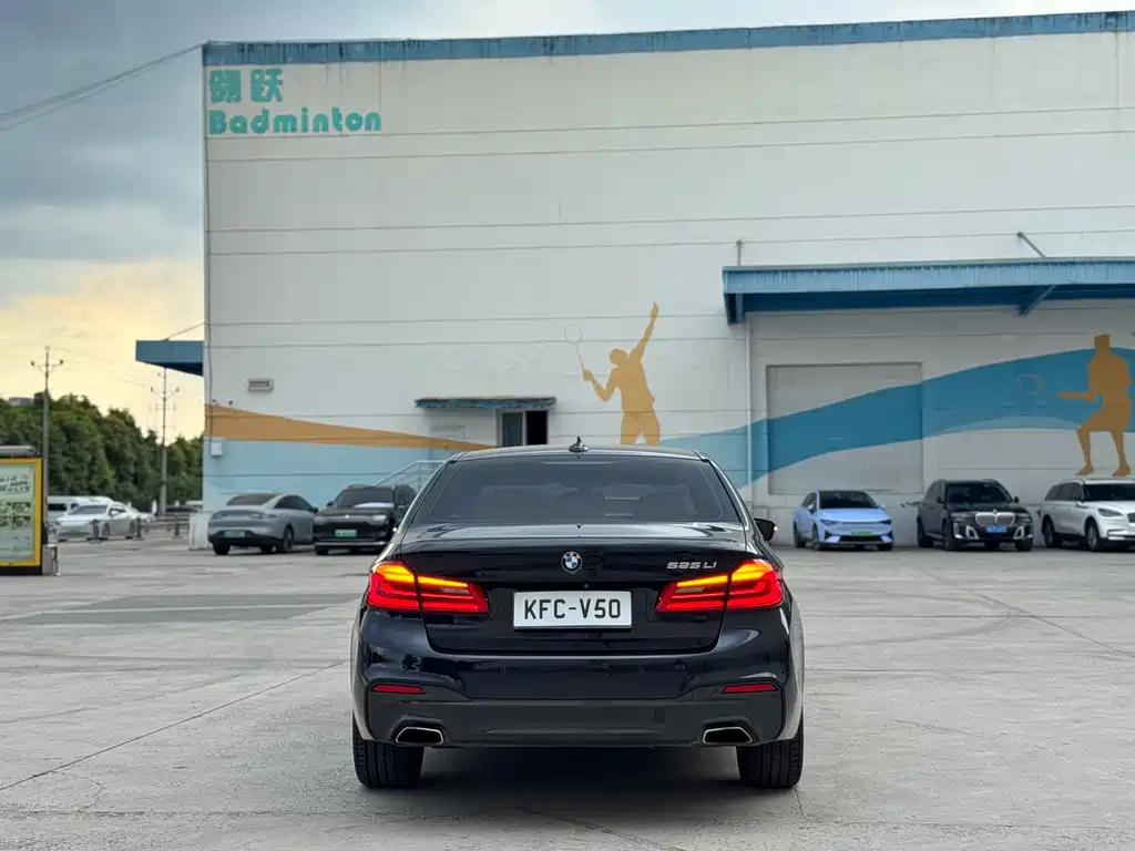 BMW 5 Series — миниатюра 5