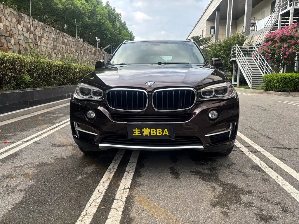 BMW X5 (Import) — миниатюра 2