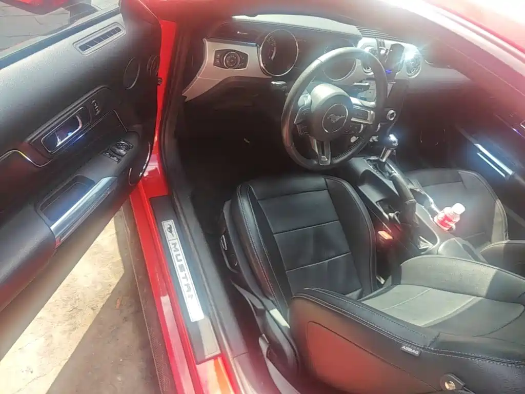 Ford Mustang — миниатюра 16