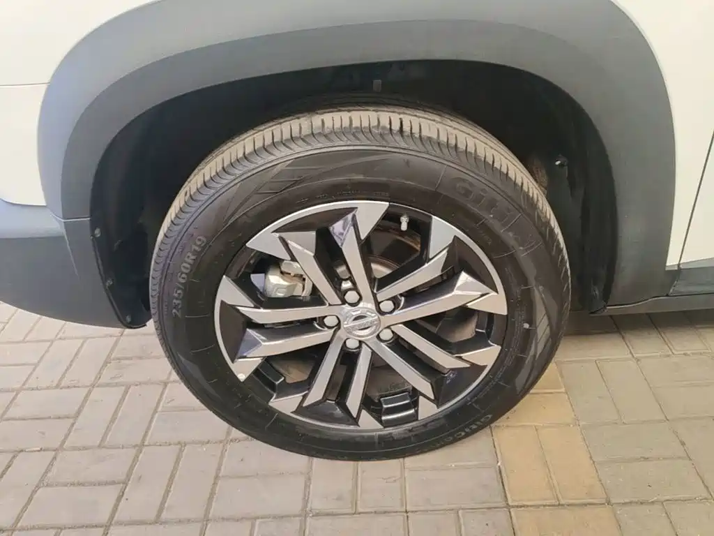 Haval Big Dog — миниатюра 23