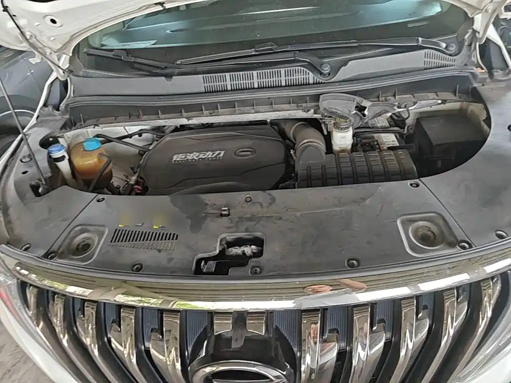 GAC Motor Trumpchi M8 — миниатюра 20