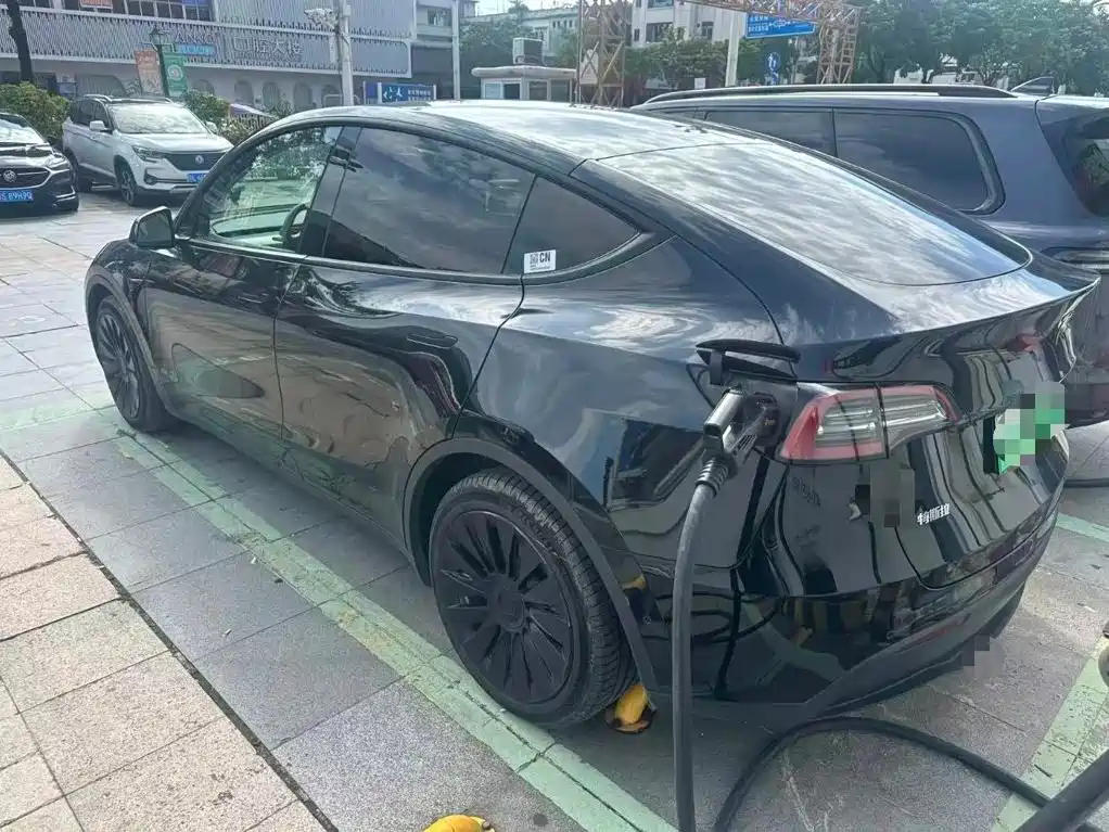 Tesla Model Y — миниатюра 4