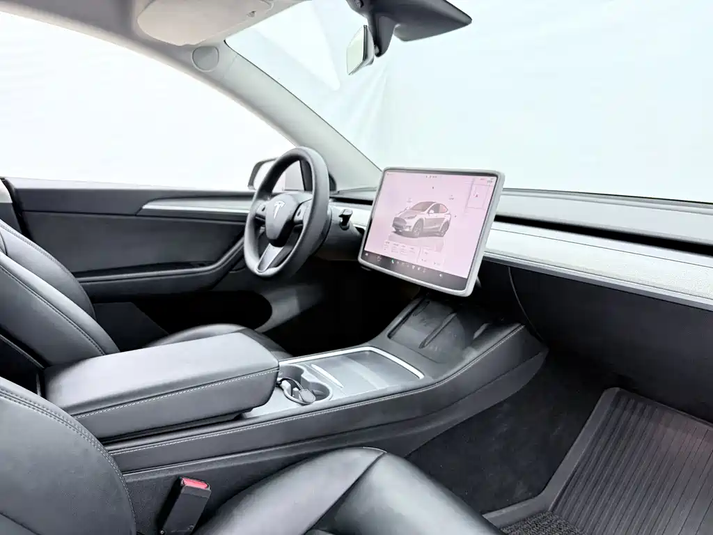Tesla Model Y — миниатюра 9