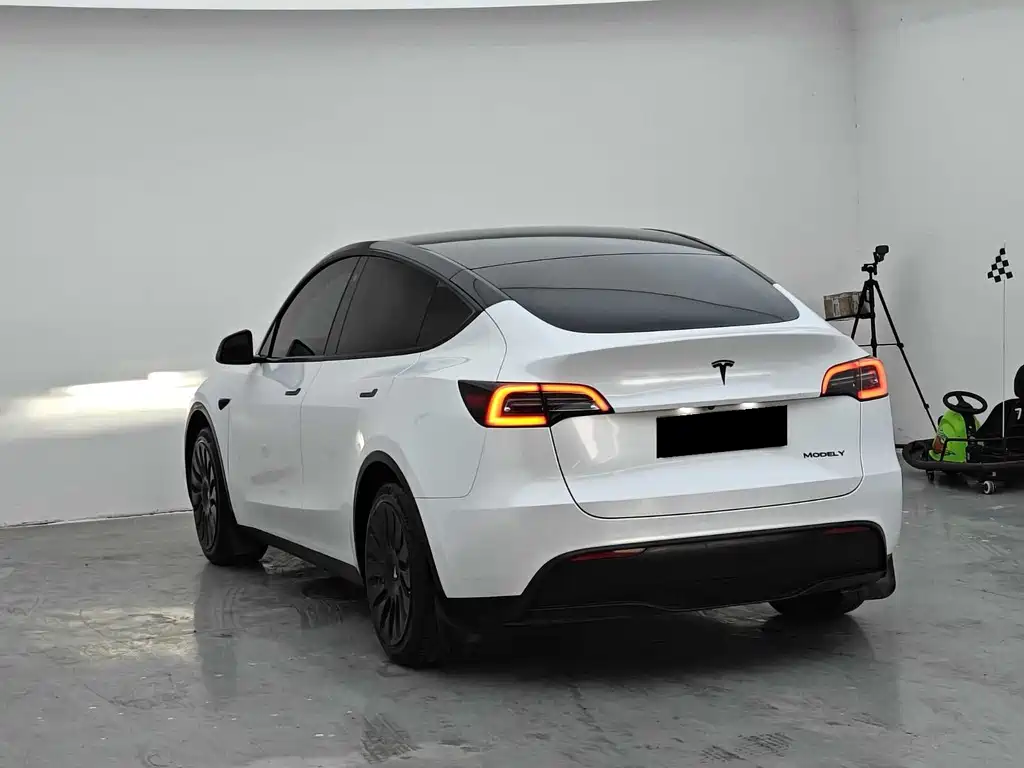 Tesla Model Y — фотографии объявления, Фото 10