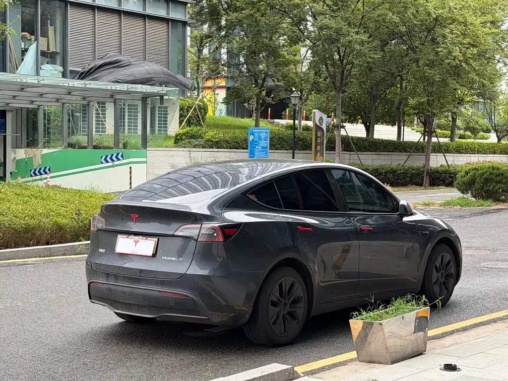Tesla Model Y — миниатюра 6