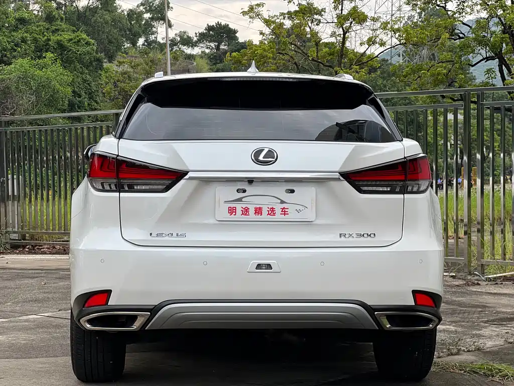Lexus RX — миниатюра 42