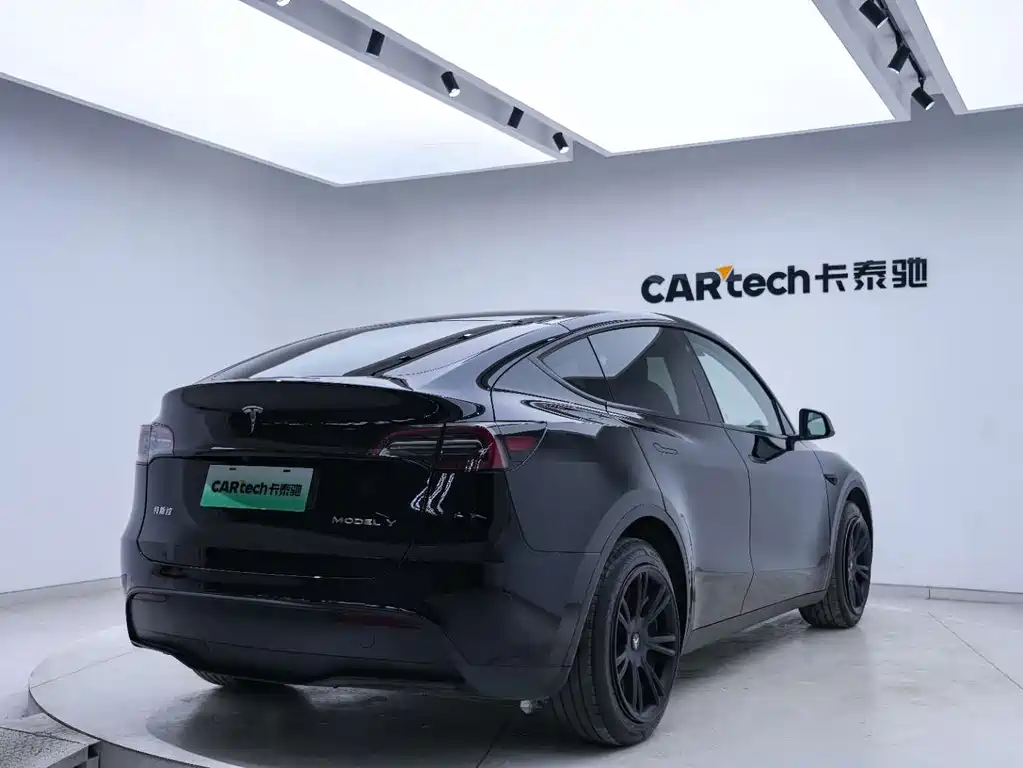 Tesla Model Y — миниатюра 15