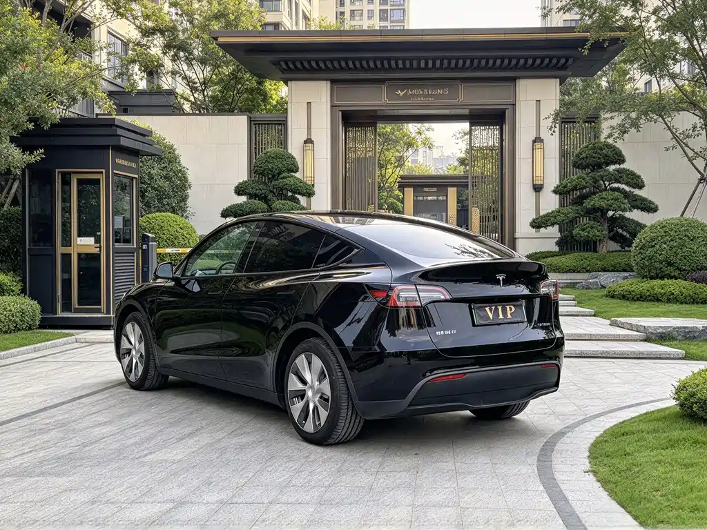 Tesla Model Y — миниатюра 7