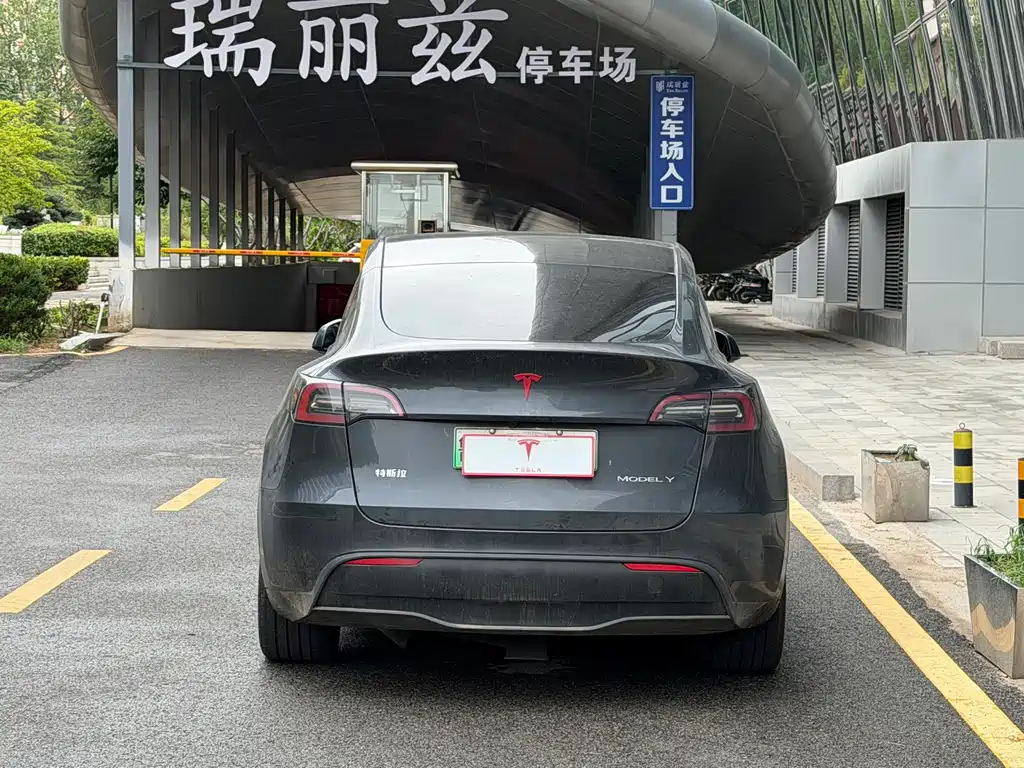 Tesla Model Y — миниатюра 5