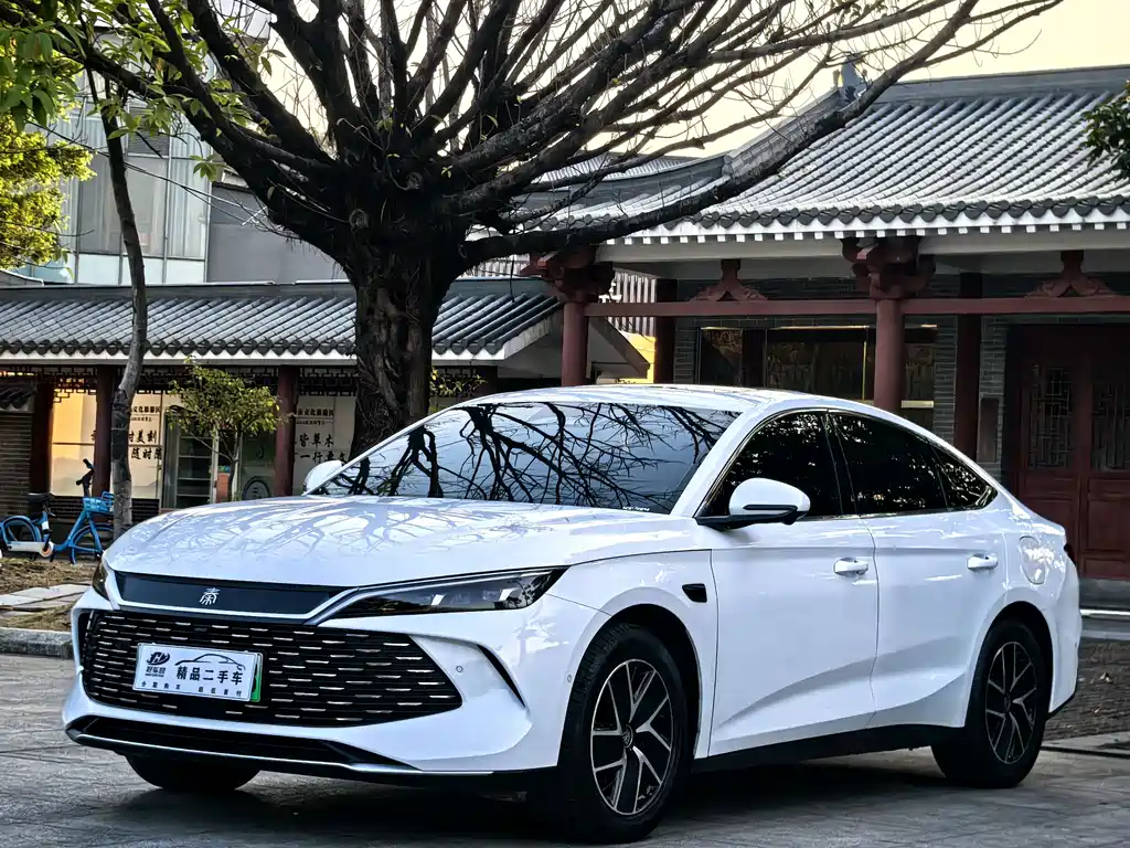 BYD QIN L
