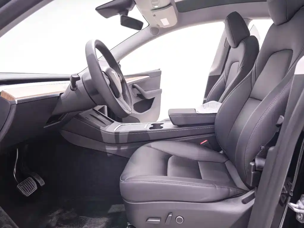 Tesla Model Y — миниатюра 21