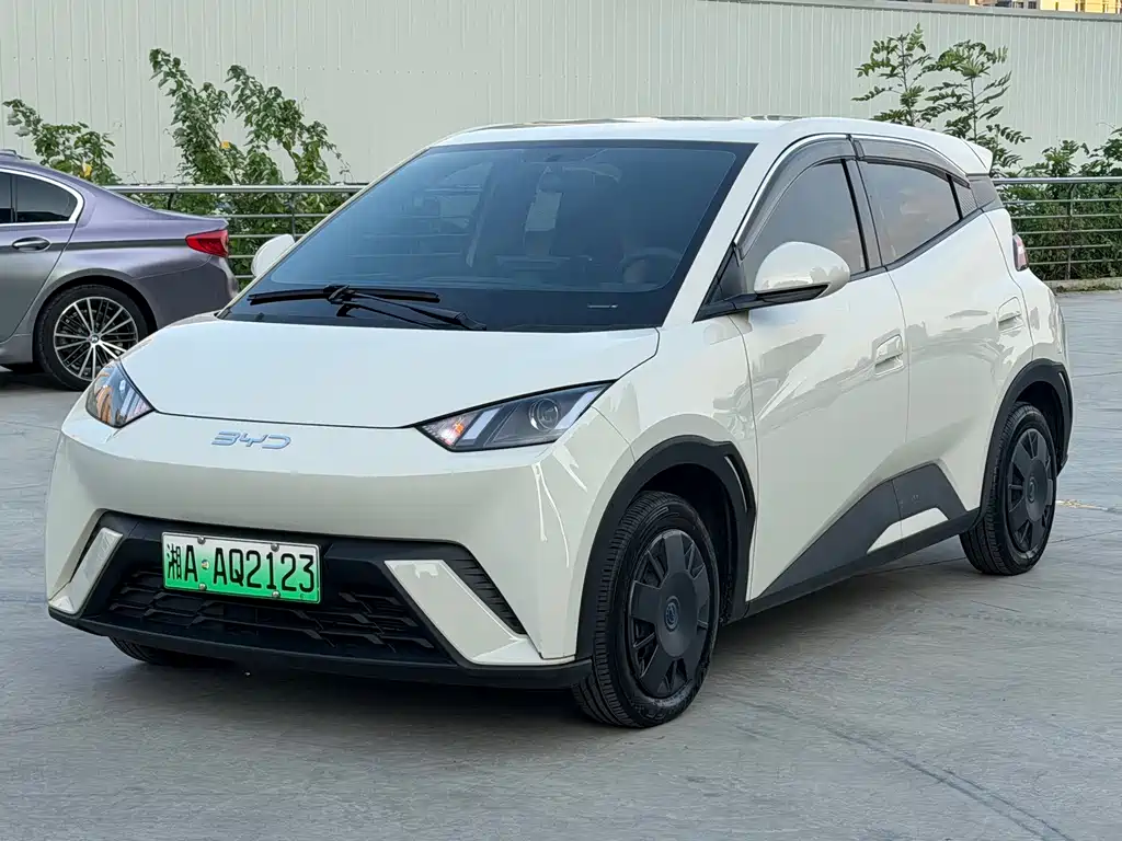 BYD Seagull