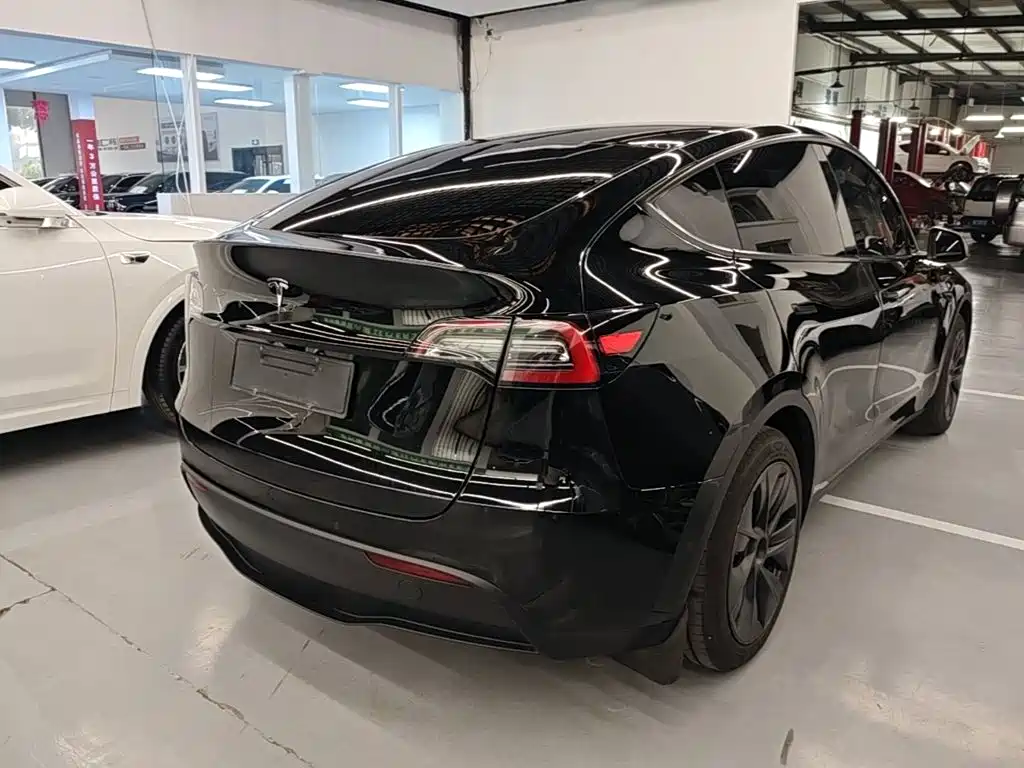 Tesla Model Y — миниатюра 7