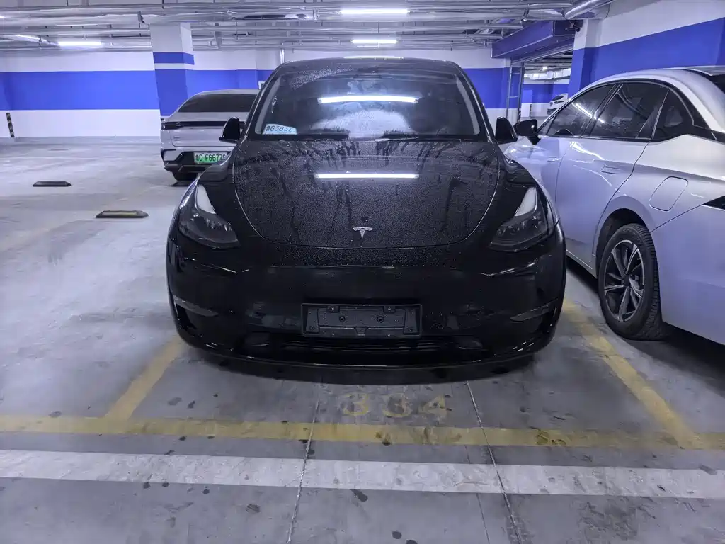 Tesla Model Y — миниатюра 2