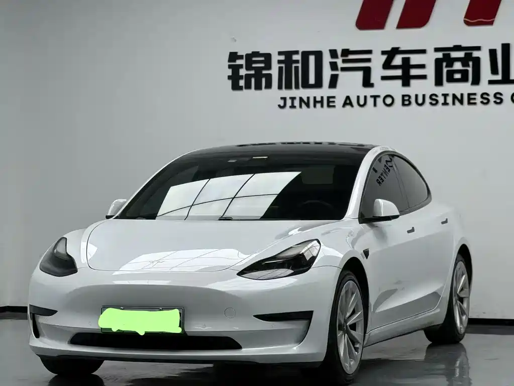 Tesla Model 3 2021