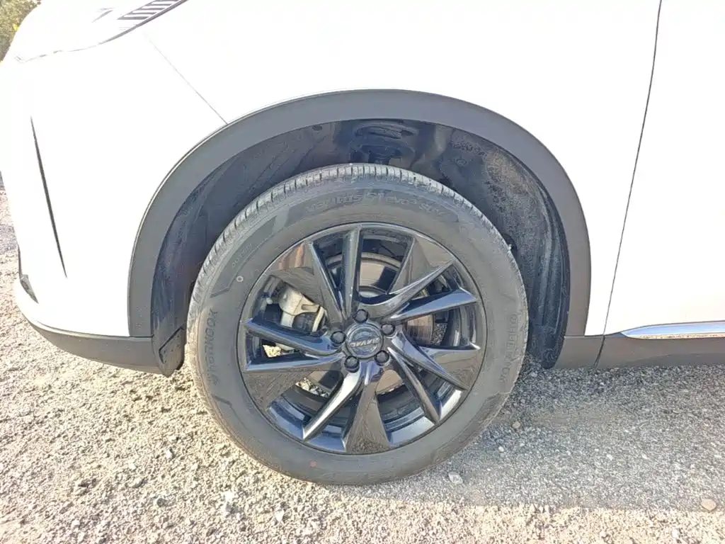Haval H6 — миниатюра 25