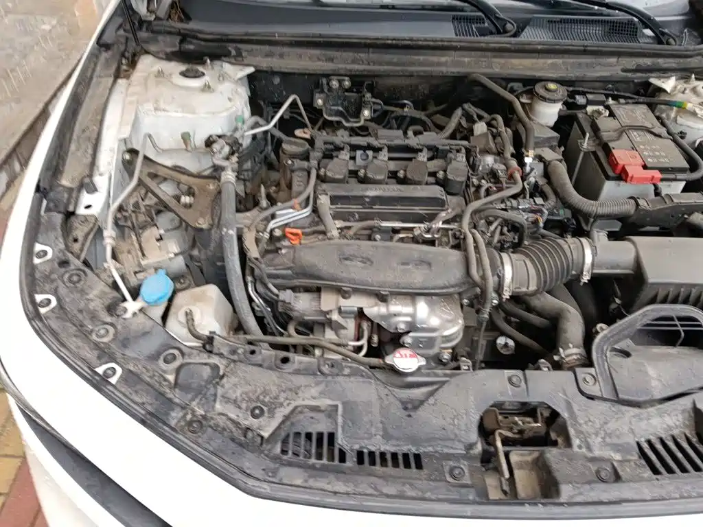Honda Accord — миниатюра 19