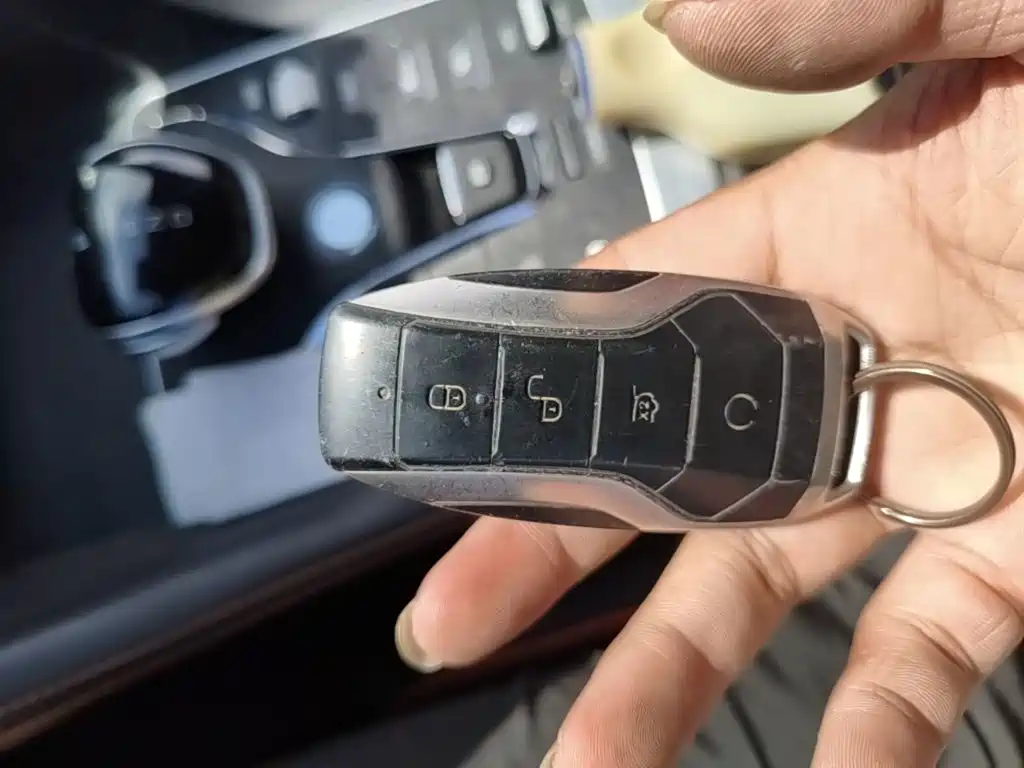 BYD PLUS — миниатюра 9