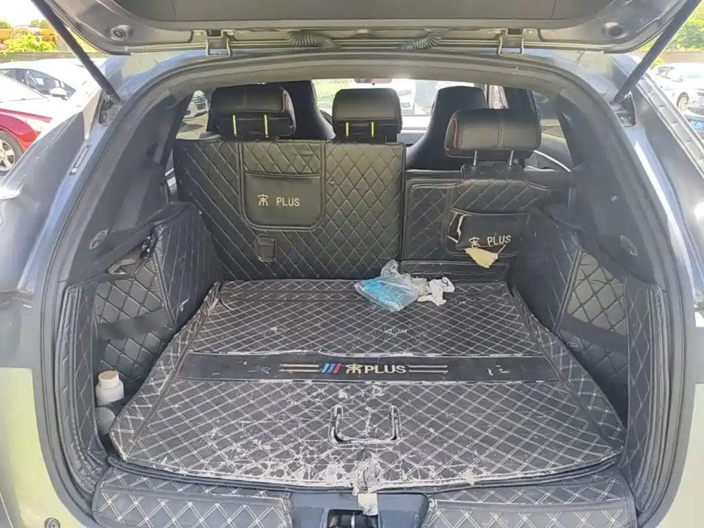 BYD PLUS — миниатюра 19