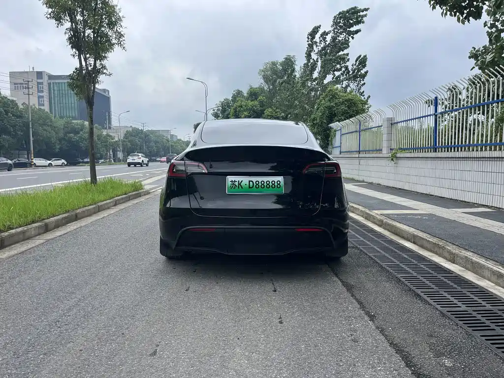 Tesla Model Y — миниатюра 8