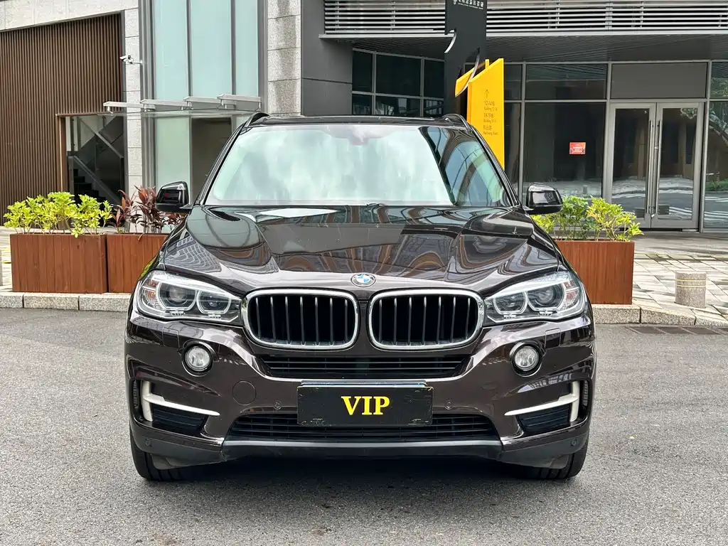 BMW X5 (Import) — миниатюра 2