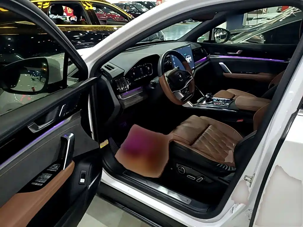 BYD Tang New Energy — миниатюра 16