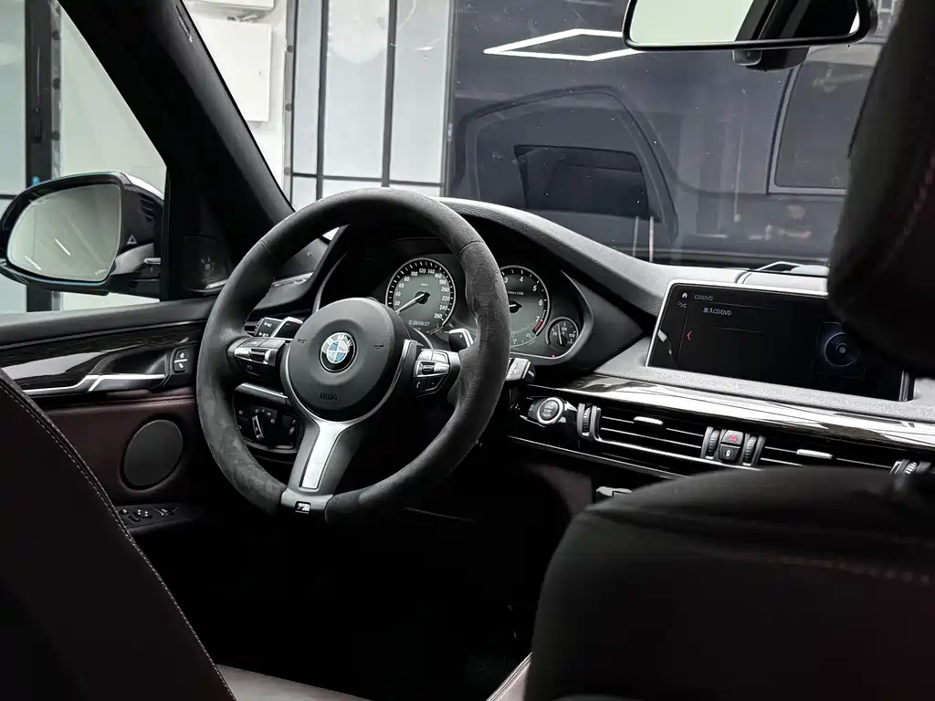 BMW X5 (Import) — миниатюра 11