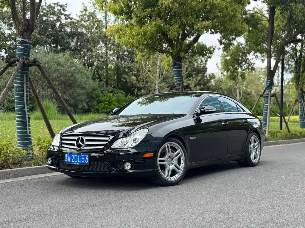 Mercedes-Benz CLS AMG 2010