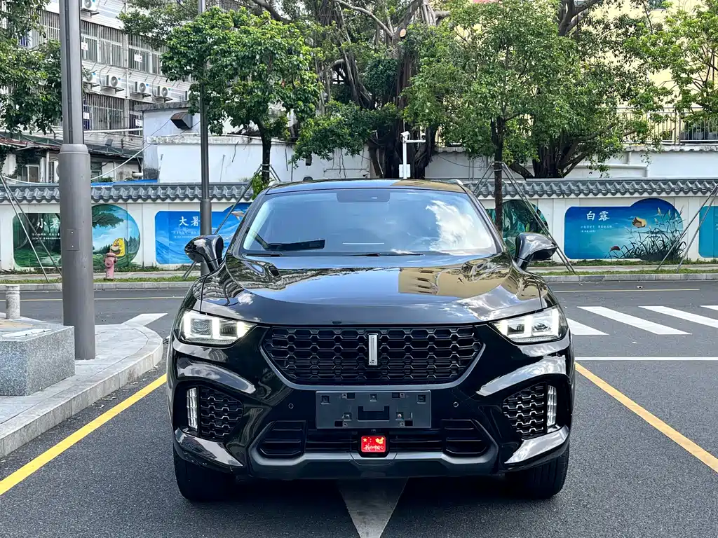 WEI PAI WEI BRAND VV5