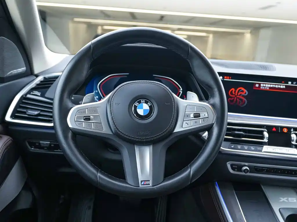 BMW X5 — миниатюра 19