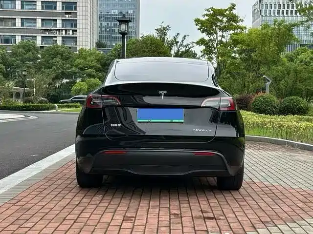 Tesla Model Y — миниатюра 5