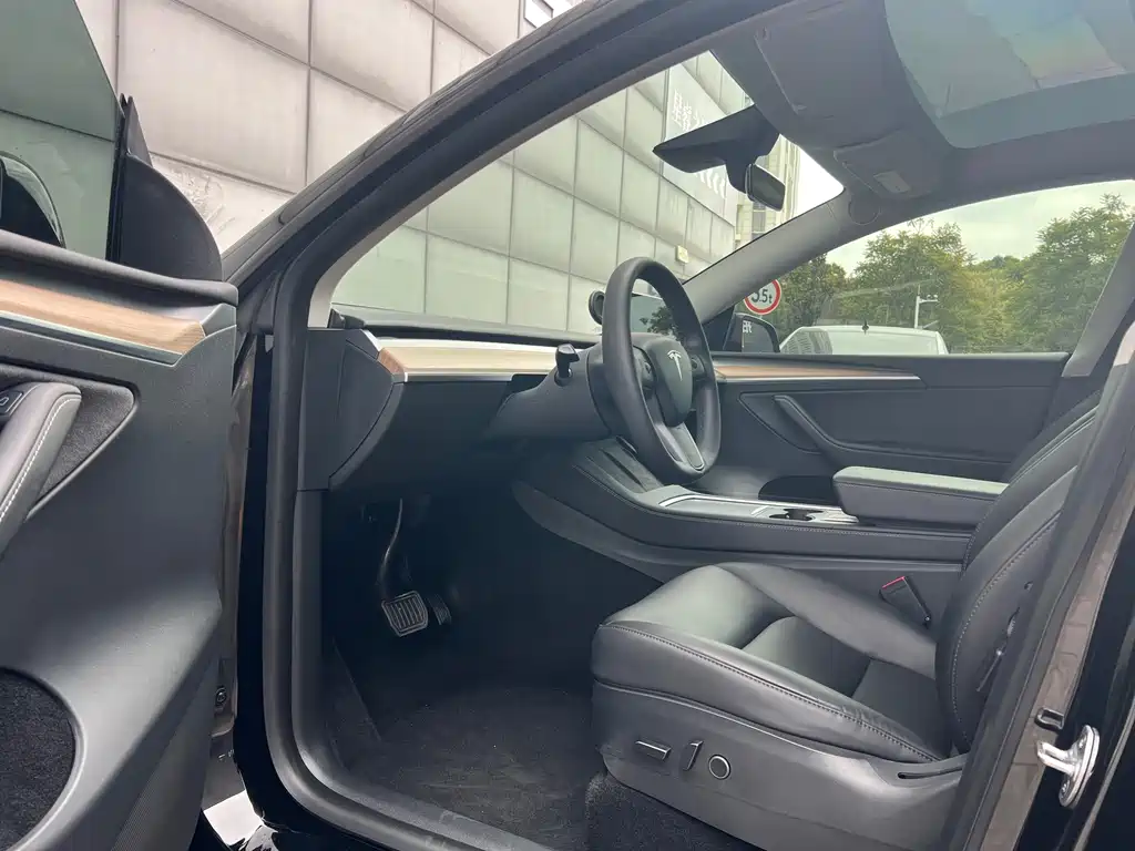 Tesla Model Y — миниатюра 5