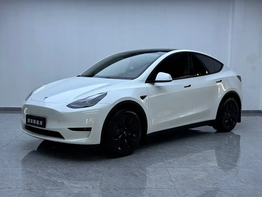 Tesla Model Y — миниатюра 2