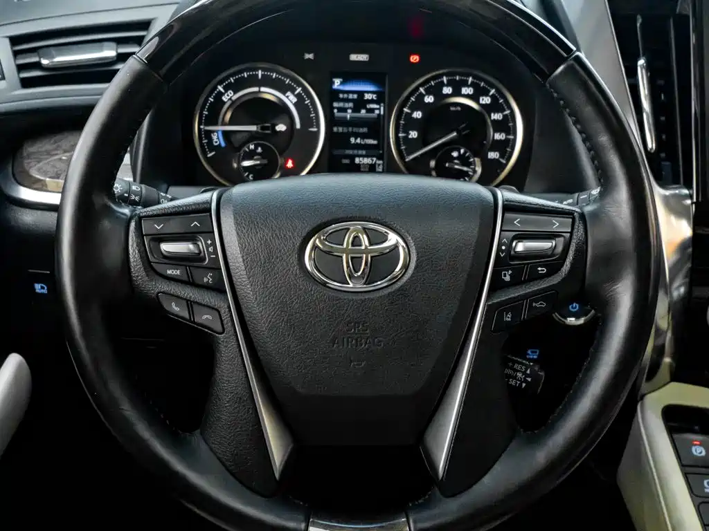 Toyota Alphard — миниатюра 16