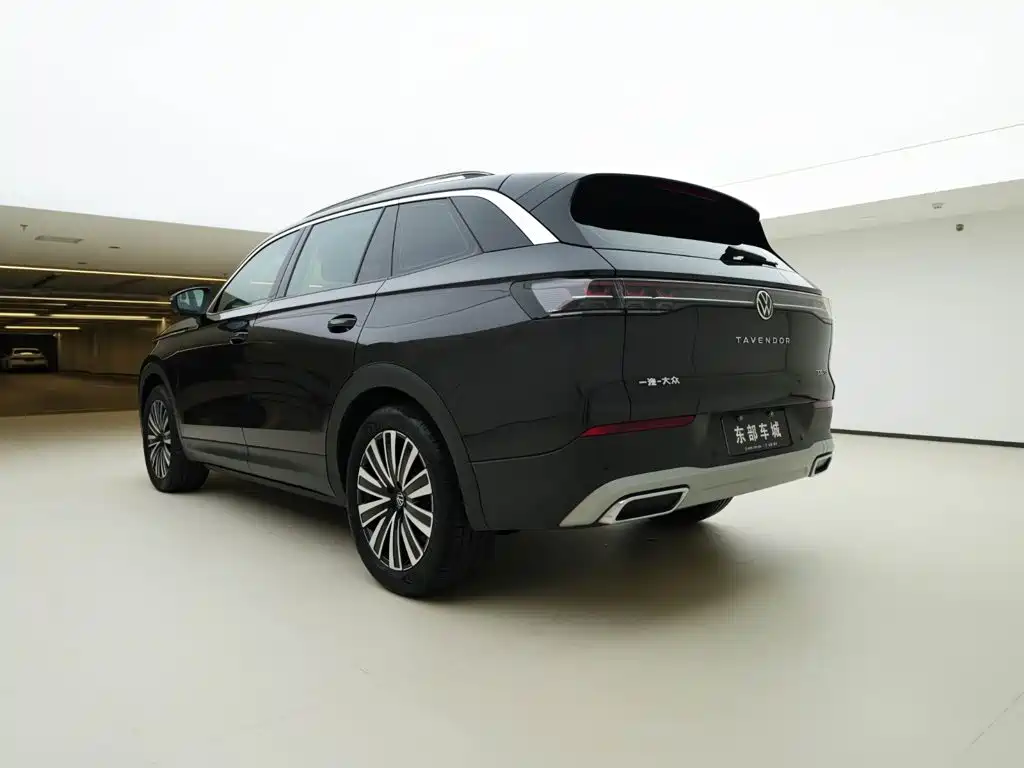 Volkswagen Tavendor — миниатюра 5