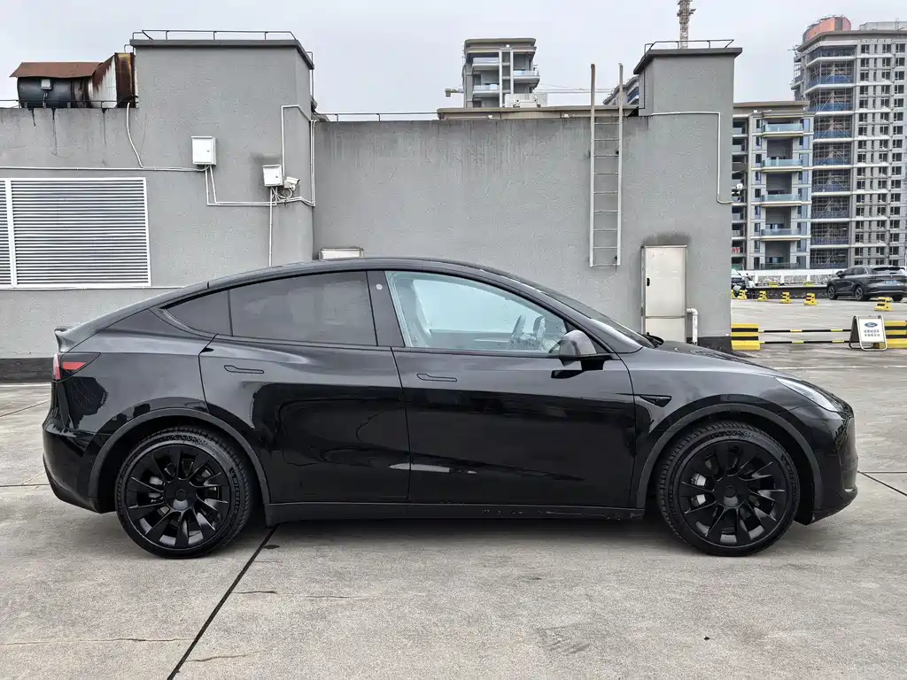 Tesla Model Y — миниатюра 4