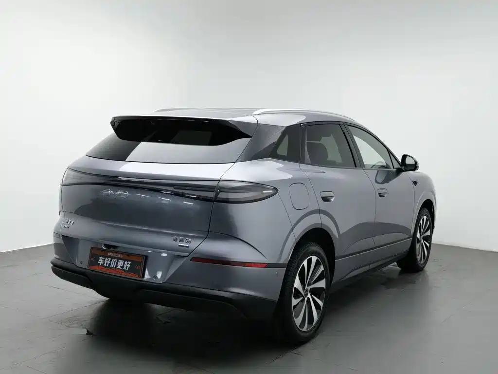 BYD Haisi 06 — миниатюра 2