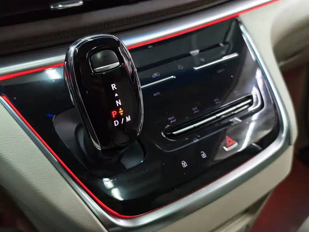 Buick GL8 — миниатюра 12