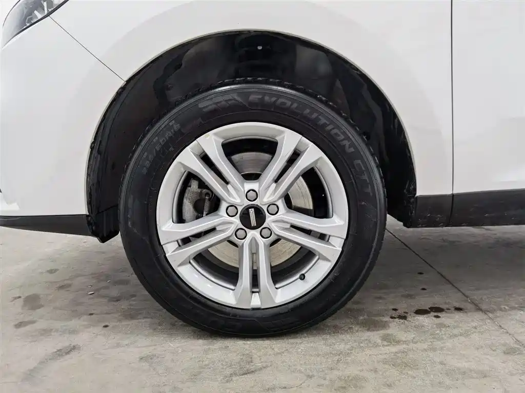 WEI PAI WEI BRAND VV5