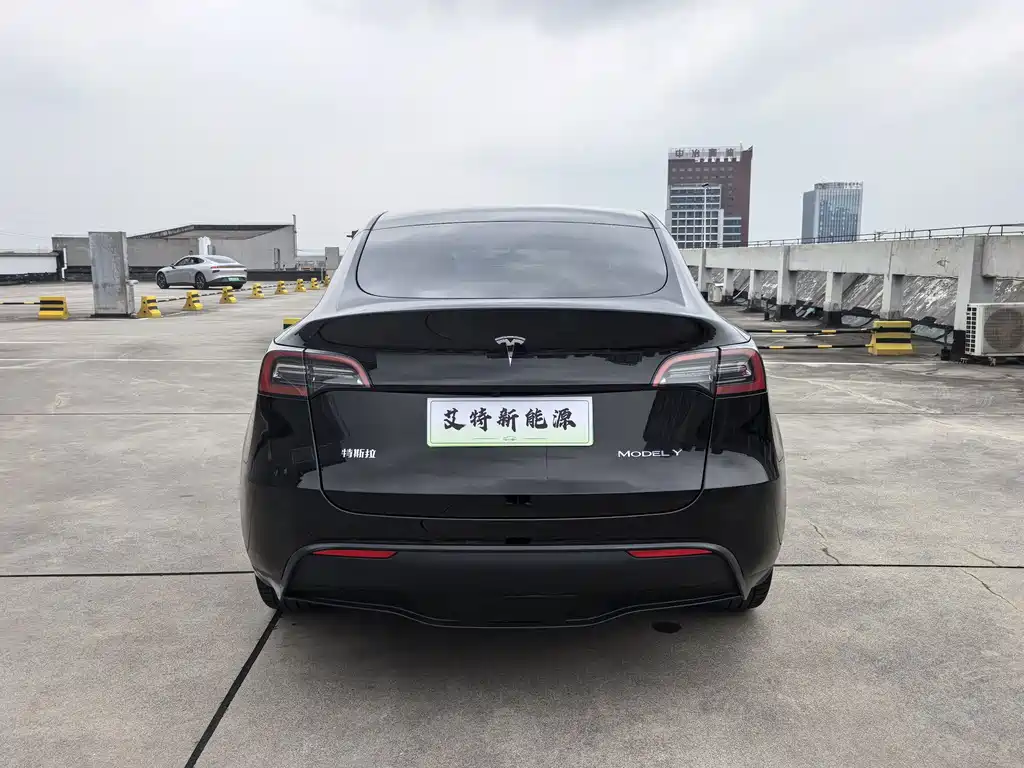 Tesla Model Y — миниатюра 6