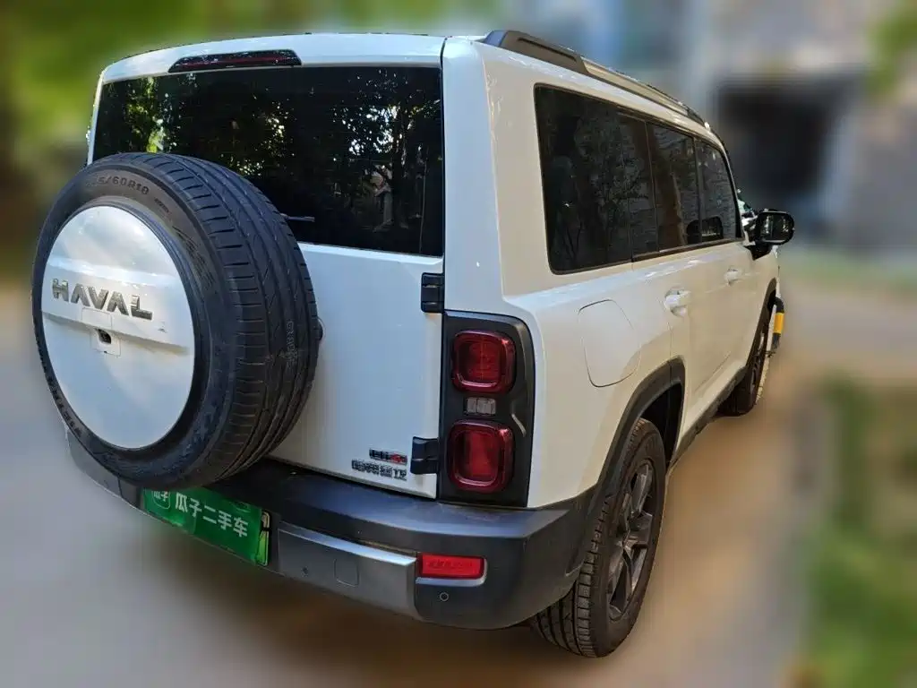 Haval Menglong New Energy — миниатюра 4
