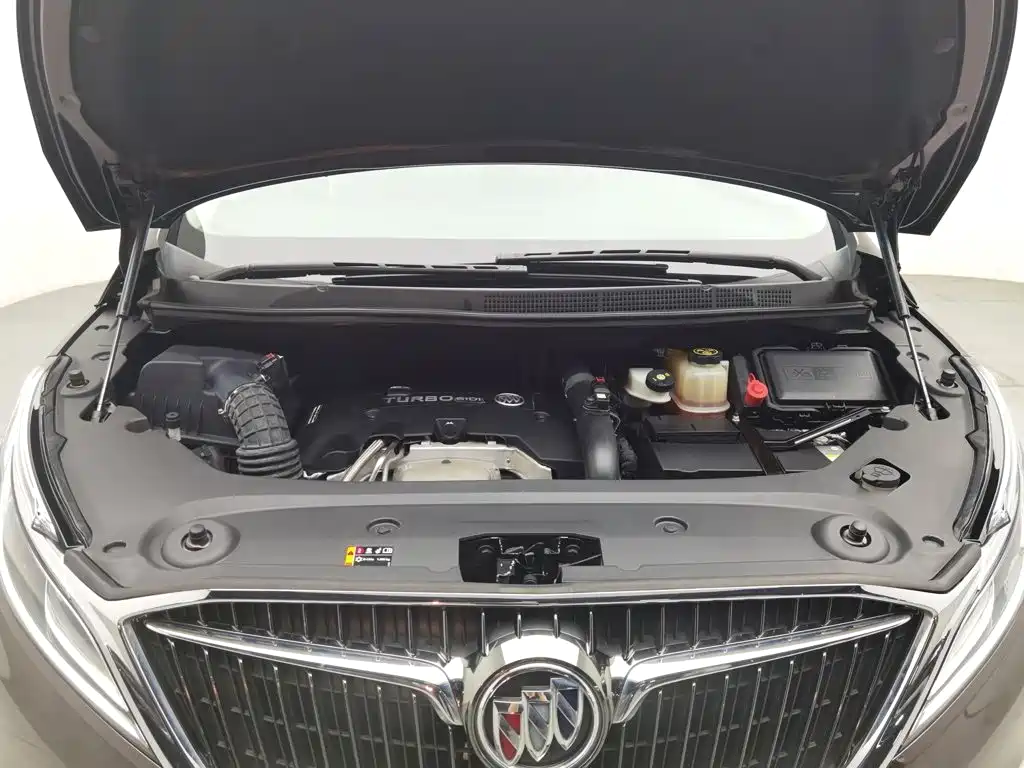 Buick GL8 — миниатюра 6