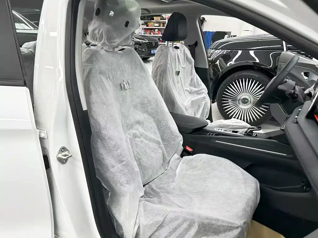 GEELY AUTOMOBILE BINRUI