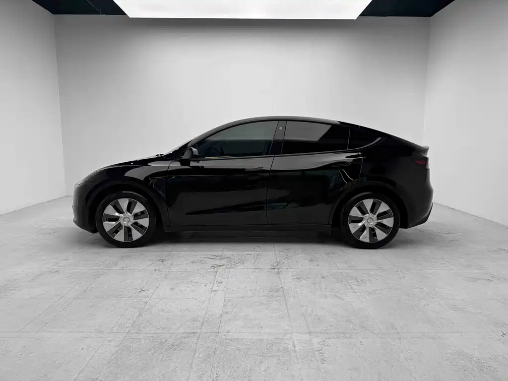 Tesla Model Y — миниатюра 3