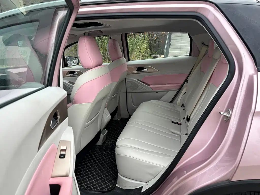 GEELY GEOMETRY E FIREFLY